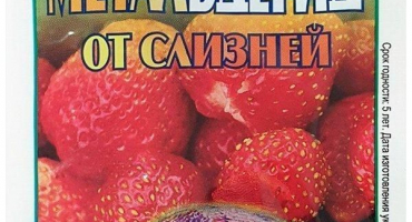 Pokyny pro použití metaldehydu z slimáků, dávkování a analogy